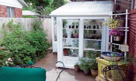Autumn’s Inexpensive DIY Greenhouse Image